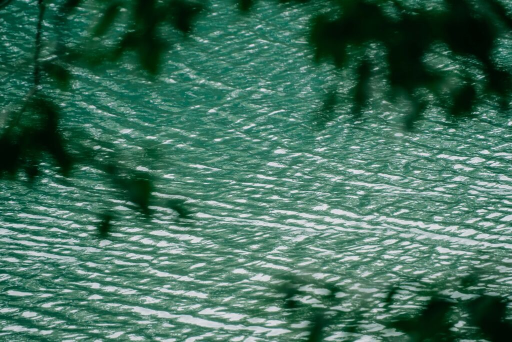 江津湖遊歩道の木漏れ日 6月撮影 熊本市風景写真　水面の反射