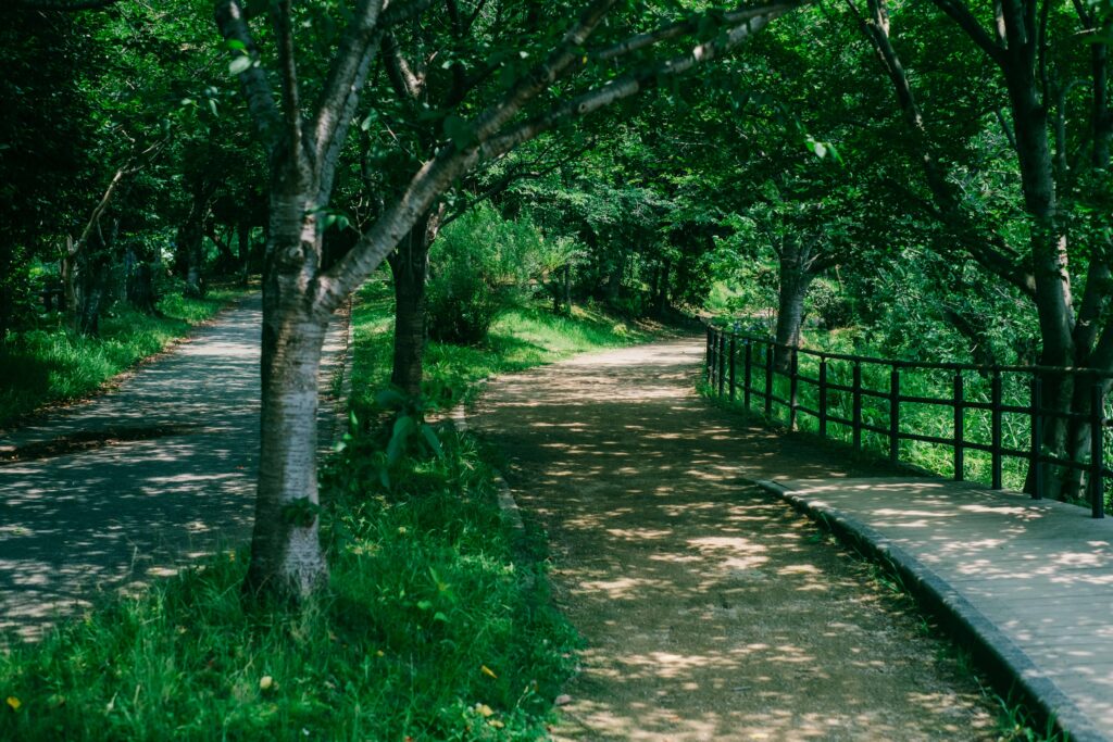江津湖遊歩道の木漏れ日 6月撮影 熊本市風景写真　スロープ
