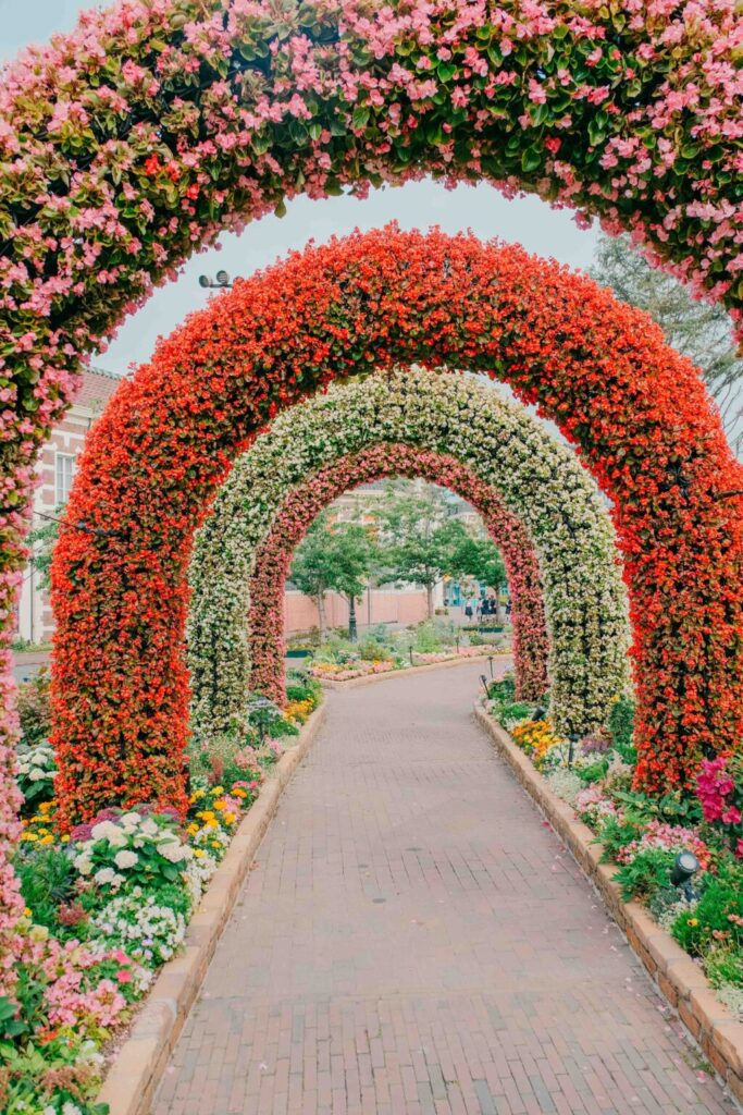 5月のハウステンボスで撮影した街歩きスナップ写真　花のアーチ