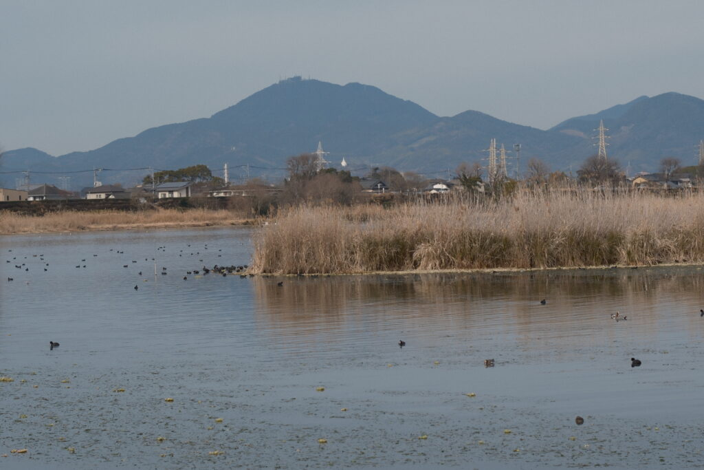 奥行きを見せる55mm 作例写真