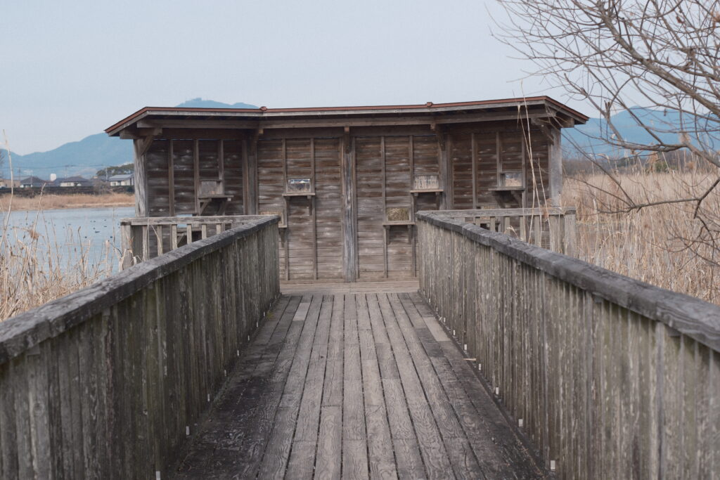 自然光を背景にした55mm 作例