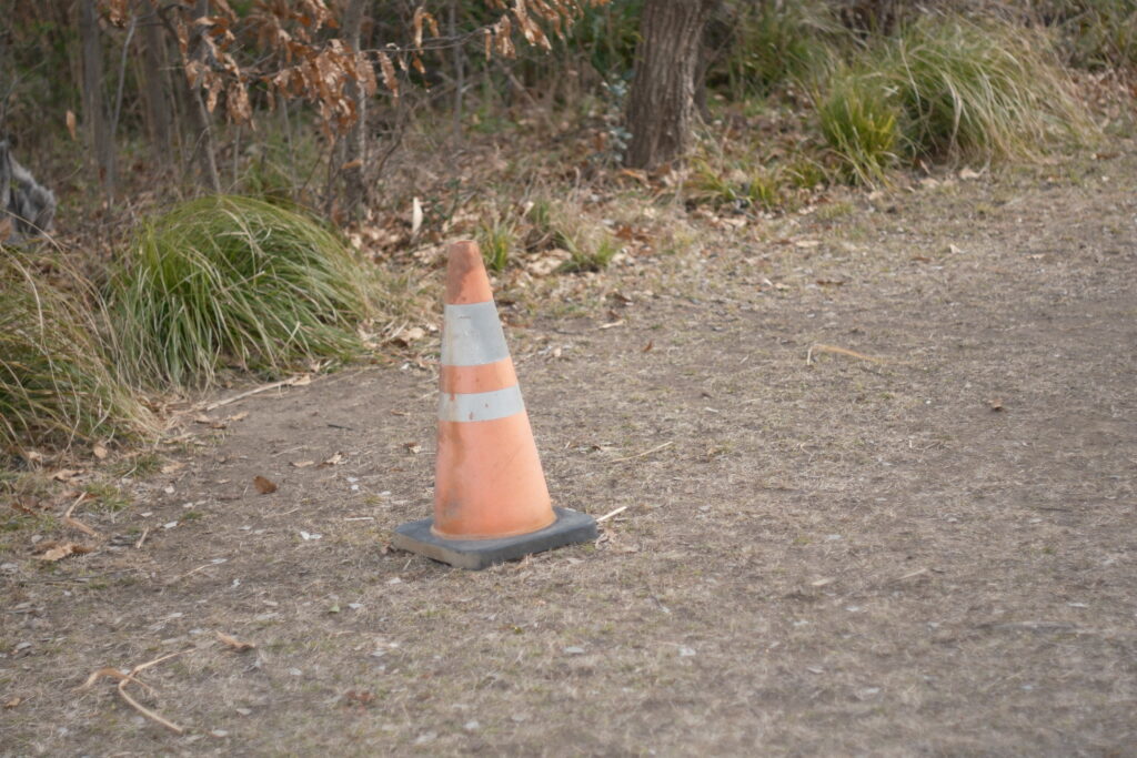 自然光を背景にした55mm 作例 コーン